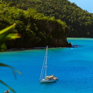 Saint Lucia Launches Virtual Citizenship Application Process